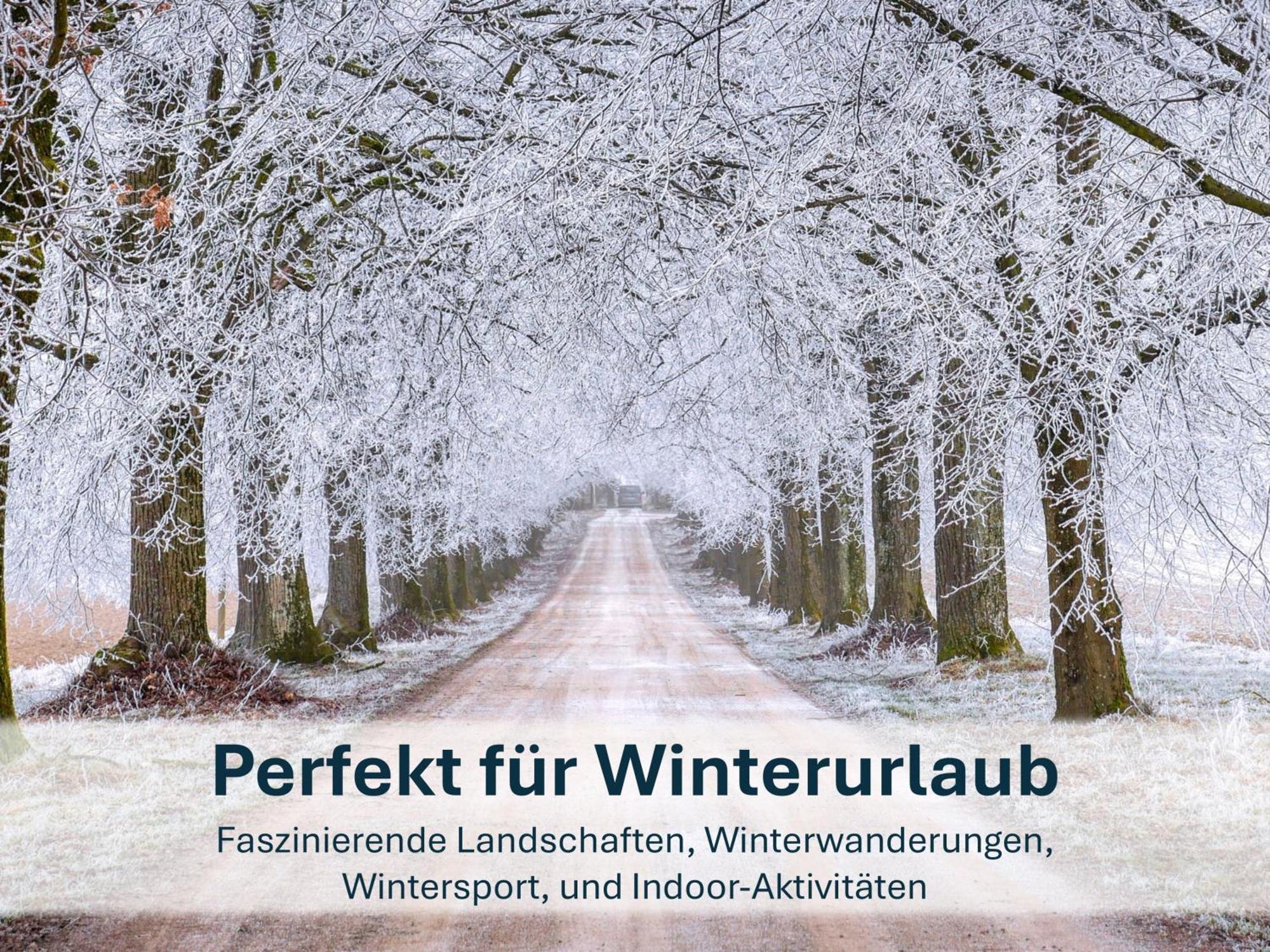 Zinnowitz, Paradies Am Wald - Wg 05 المظهر الخارجي الصورة